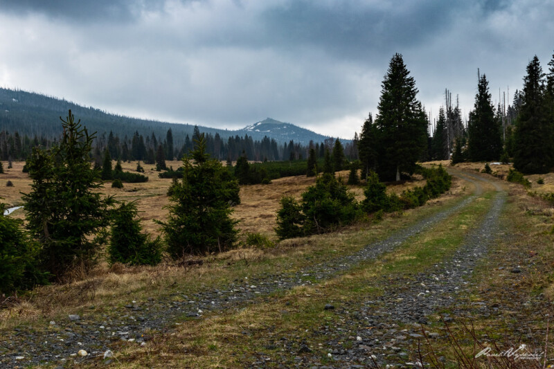 Luzenské údolí